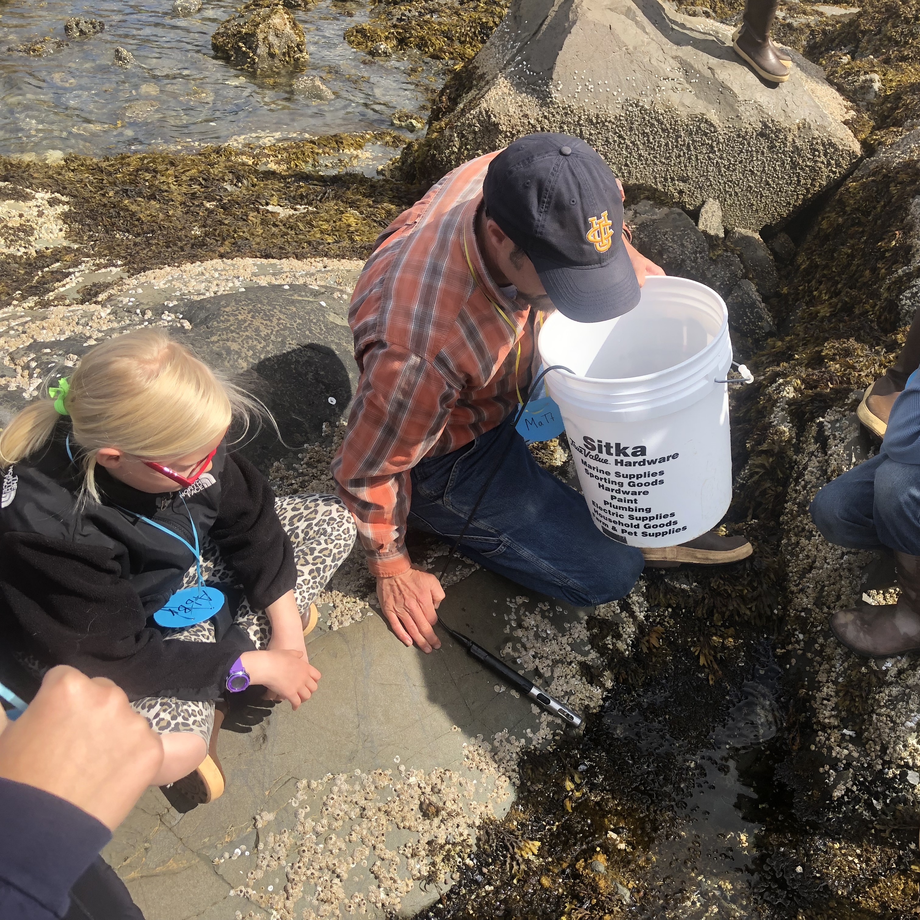 Bones and All: Grades 1-3 - logo